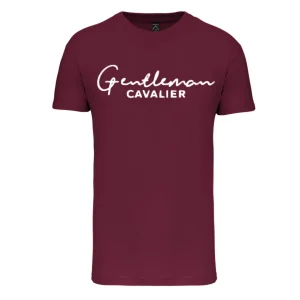 T-SHIRT GARÇON BORDEAUX / BLANC