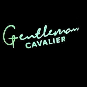 T-SHIRT GENTLEMAN NIGHT & DAY